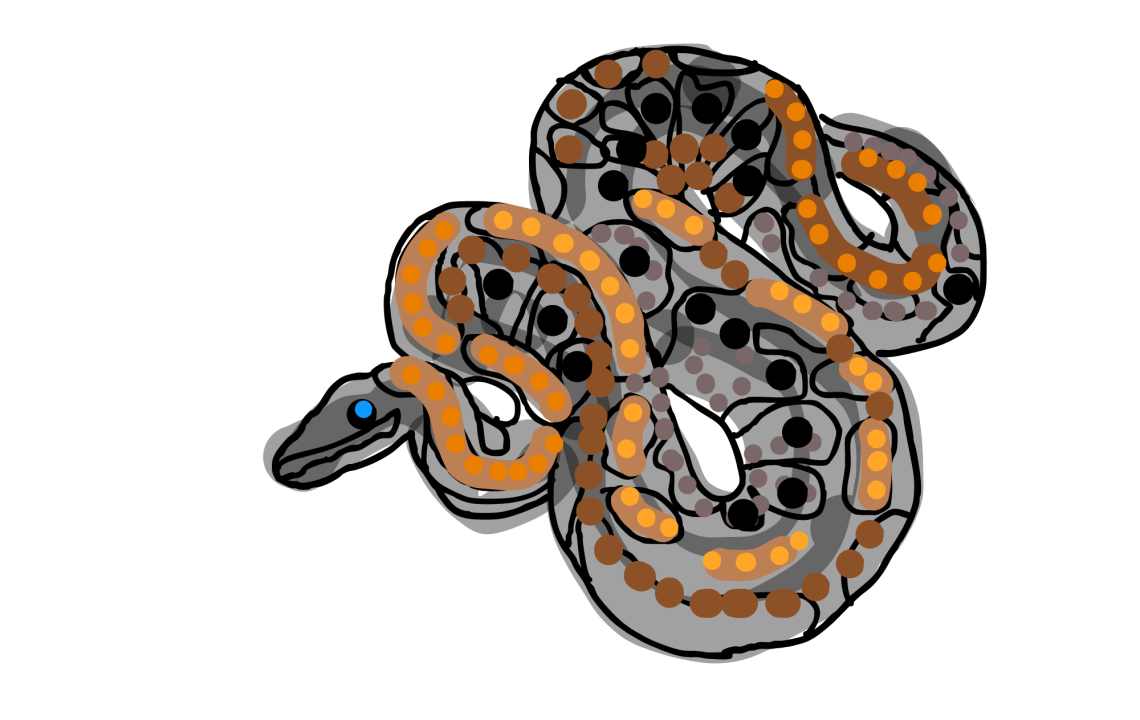 Survey of Software — python