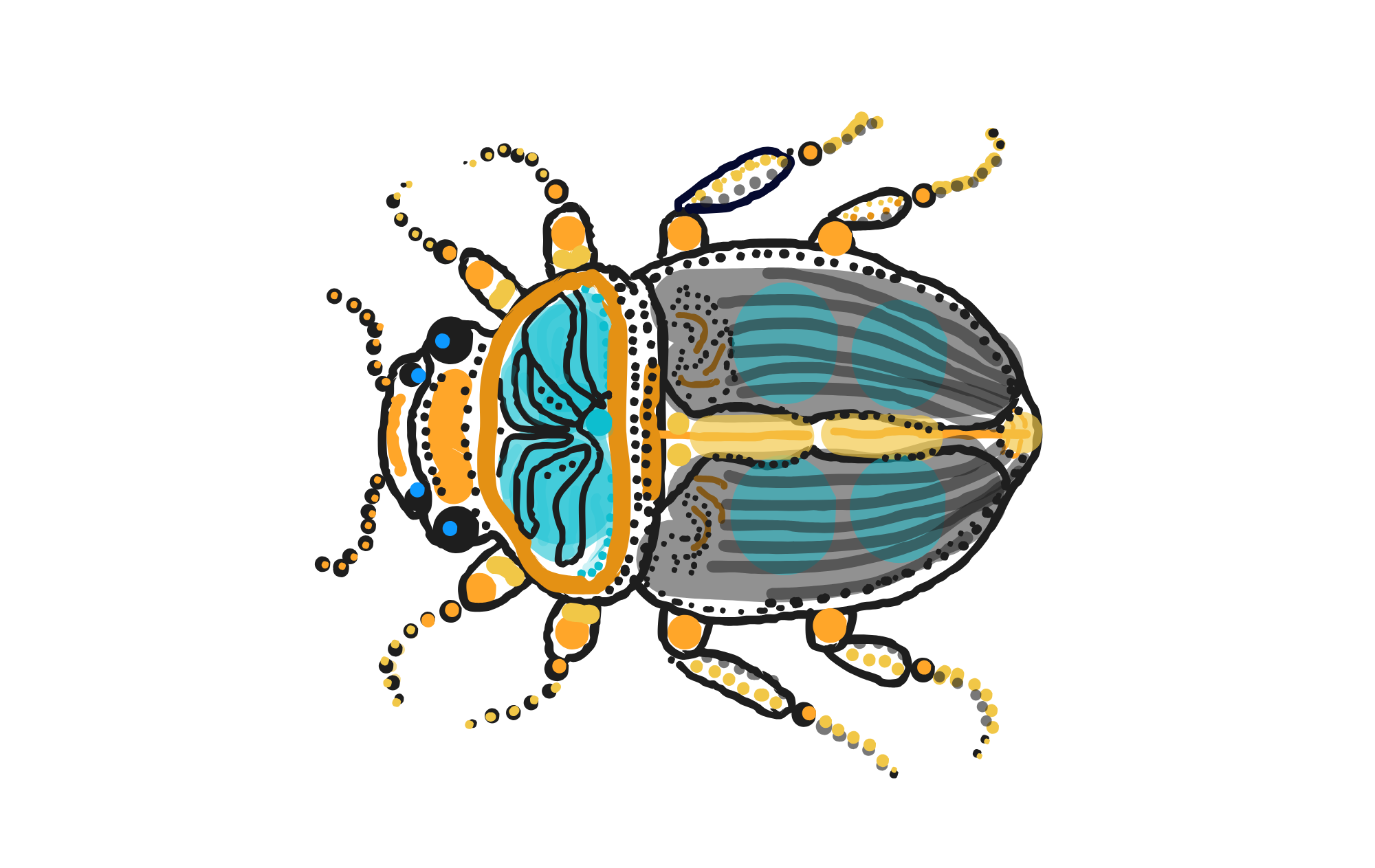 A scarab beetle drawn in ink on white